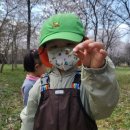 지혜숲유치원 이미지