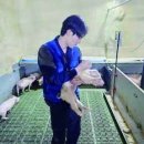 율면농장 이미지