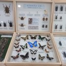 케이탑 태권도 이미지