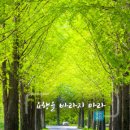 바라지 이미지