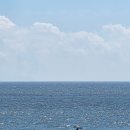 전원일기효돈점 이미지