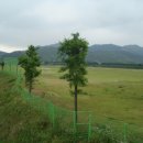 복내초교 이미지