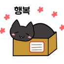 도그팡팡 이미지