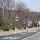 머루에 반하다 이미지