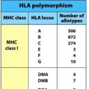 MHC
