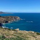 Entre Cerbère et Banyuls-sur-Mer, la protection de la biodiversité marine p 이미지