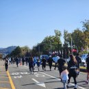 남승룡로 이미지