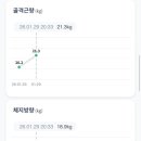 힐링엔젤스 이미지