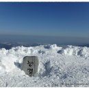 주은청설아파트앞 이미지