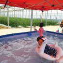 비안농장 이미지