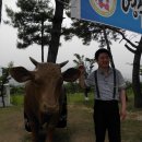 [영주] 영주한우축산조합 이미지