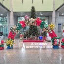 롯데가야유치원 이미지