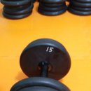 삼손헬스 이미지