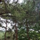 와룡체육공원 이미지