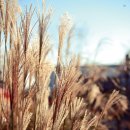 춘천도시공사 노동조합 | [이재수와 다시합시다] 일용직 건설노동자의 삶을 책임지는 도시, 춘천