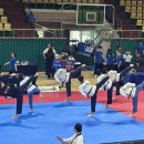 한국체대 참태권도장 이미지