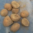 광교산의 감자농사 - 일곱번째 이야기 이미지
