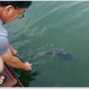 제일낚시터 이미지