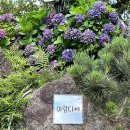 아랑디 애월 이미지