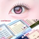 캣츠 | 코링코 노글루 속눈썹 조합 추천 코링코 노글루 속눈썹 캣츠 & 뮤즈 & 퓨어 후기