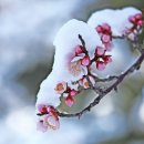 강릉대도호부관아 이미지