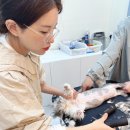 고양이이발관 송도점 이미지
