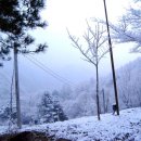 숲속작은나라 이미지