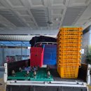 세븐일레븐 부산양정원룸점 | 부산 원룸이사 양정 → 개금 보관이사 폐기물 처리까지 깔끔한 후기 이사pik ✨