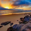 아름다움 이미지