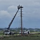 황새둥지 이미지