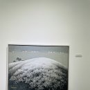 서담갤러리카페