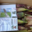 제내농장 이미지