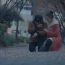 하이바이