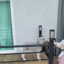 서생농업협동조합 본점 | 간절곶 앞 울산숙소추천 머물곶 펜션 302호 후기