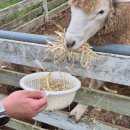 송산목장 이미지