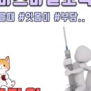 신사플란트치과병원 이미지