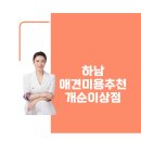 새론공인중개사사무소 | 우리 댕댕이 인생 미용💈 하남애견미용추천 개순이상점 다녀왔어요!