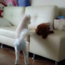 콩이PC 이미지