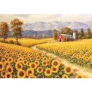 해바라기농장 이미지