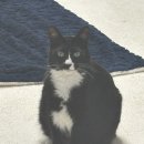 용인해성동물병원 이미지