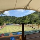 쇠평어린이공원 놀이터 이미지