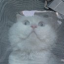 지에스25 검단어울림 이미지