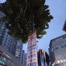 용산-453 | 추석 연휴 러닝 한바탕, 청계천 그리고 흑석 고가 우중런, 필수숙제 변화주까지!