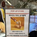 봄나리식품 | [내돈내산/봄날엔] 유튜버 ‘여수언니’의 초코퐁당 요거꿀떡, 초코초꾸떡 솔직후기
