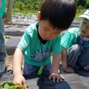 담양도래수마을 이미지