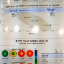 안경랜드(영운점) 이미지