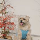 스테이 시간 이미지