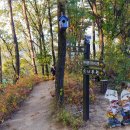 원주굽이길 원4코스 명봉산진달래길 이미지