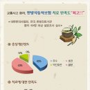 씨에스나무병원 이미지