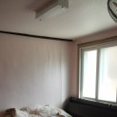 유주막로 Daum카페